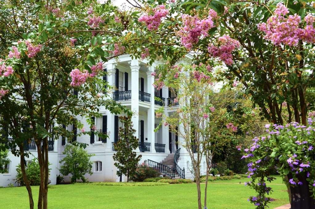 Nottoway Plantation And Resort White Castle ภายนอก รูปภาพ